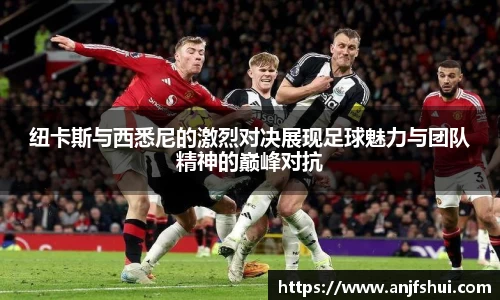 竞博体育jbo